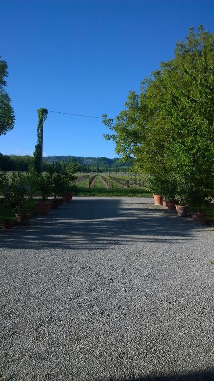 La Vigna Dei Peri Villa Quattro Castella Buitenkant foto